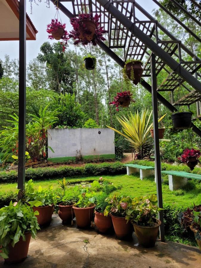 Bluebell Homestay Chikmagalūr Extérieur photo